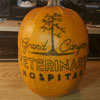 Grand Canyon Vet Pumpkin