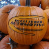 Wellsboro Automotive Pumpkin