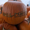 Bull Chiropractic Pumpkin