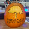 Broad Acres Pumpkin