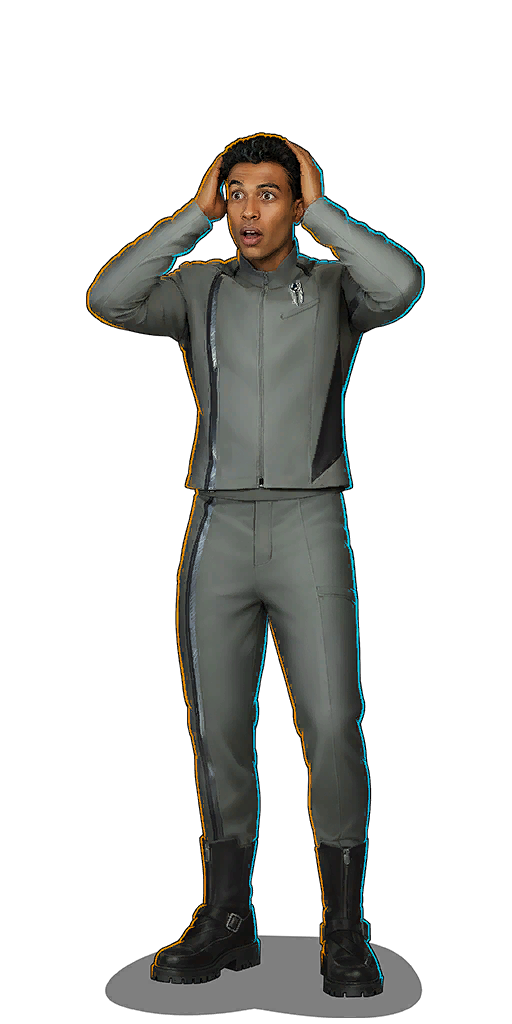 Ensign Mir