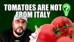Tomatoes Are Not From Italy – Learn Stuff
