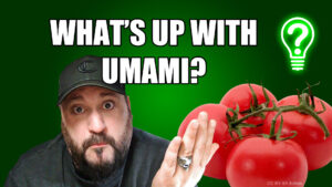 What’s Up With Umami? – Learn Stuff