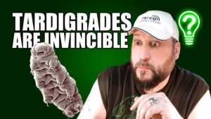 Tardigrades Are Invincible – Learn Stuff