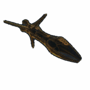 Species 8472 Bioship